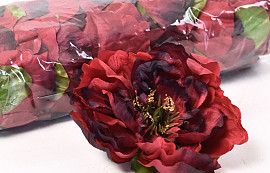 Pivoine D13cm Rouge