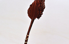 Palm Spear 40-55cm Brown