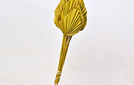 Palm Spear 40-55cm Jaune