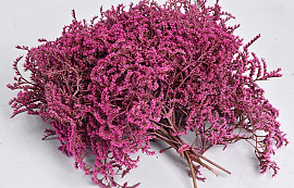 Statice Tatarica 150gr. Rosa