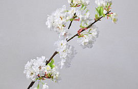 Apfelblütenzweig Weiß 94cm