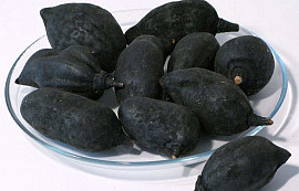 Baobab black 8-12cm