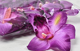 Orchid Purple D16cm