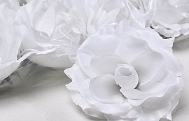 Rose D11cm Blanc