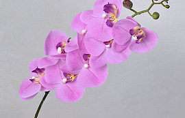 Phalaenopsis Spray Pink 88cm