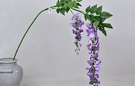 Garden Wisteria Lilac 135cm