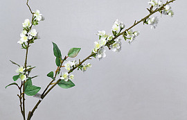 Cherry Blossom White 115cm