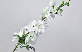 Delphinium Spray White 91cm