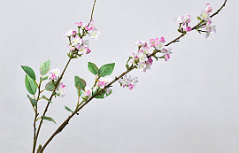 Cherry Blossom Pink 115cm