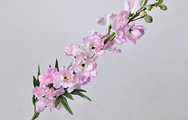 Delphinium Spray Pink 91cm