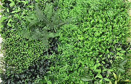 Green Plant Mat 1x1m Mix