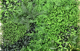 Grüne Pflanze Mat 1x1m Mix