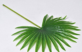 Künstliche Palm Blatt Grün 50cm