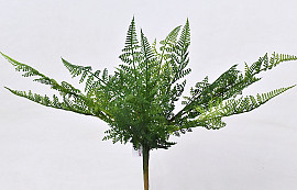 Fern Bush 15 Leaves 46cm