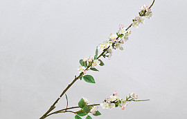 Cherry Blossom Pink 115cm