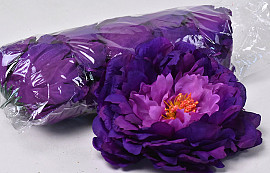 Peony D18cm Purple