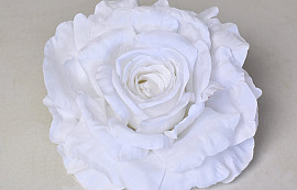 Rose D15cm White