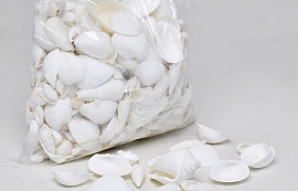 Shells Mix White 1kg
