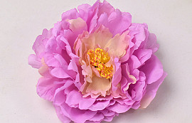 Pivoine Rose D18cm