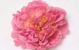 Pivoine D18cm Vieux Rose