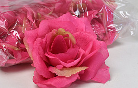 Rose D10cm Fuchsia