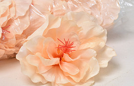 Hibiscus D14cm Peach