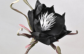 Blume Schaumstoff Schwarz, D 20cm