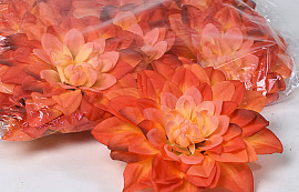 Dahlia Oranje D20cm