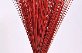 Reed Cane Red 75cm