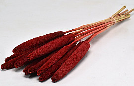 Bunch of Babala Red 10pcs 70cm 