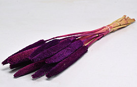 Bunch of Babala Purple 10pcs 70cm 