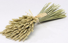 Dried Bouquet Wheat 45cm Flat
