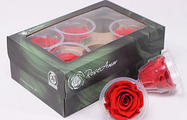 Rose Heads 6cm ribbon red