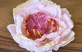 Peony Pink D16cm