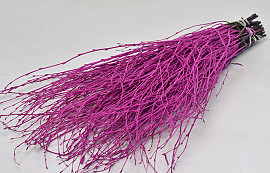 Berk Cerise 50-pack