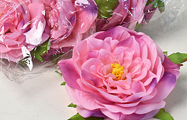 Pivoine D13cm Rose