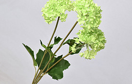 Hortensien 3St Grün 72cm