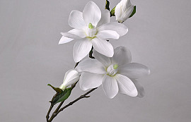 Magnolien Zweig Weiß 75cm