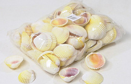 Cockles 1Kg White