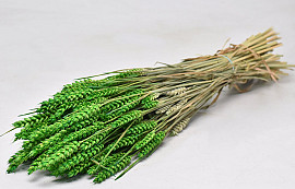 Bouquet Triticum vert clair (blé) 70cm