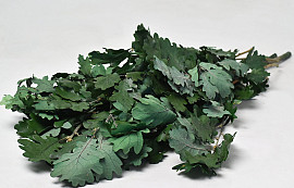 Oak Leaves Green 50-60cm