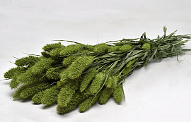 Bouquet Sétaire Vert 65cm