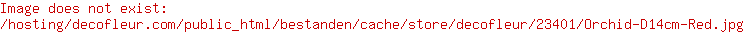 Orchid D14cm Red