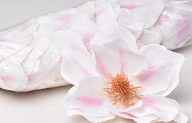 Magnolia D17cm Blanc/Rose