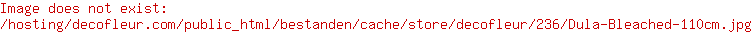 Branche de Dula Blanchi 110cm