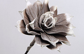 Blume Schaumstoff 75cm Grau