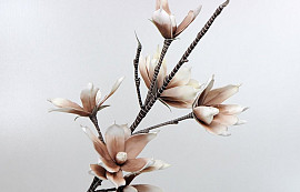 Foam Magnolia Wit/Mocca, D 18cm