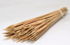 Typha Mix 100pcs