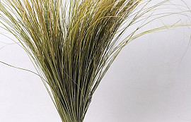 Beach Grass XL 120cm 500gr.