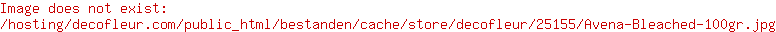 Hafer Gebleicht 100gr.